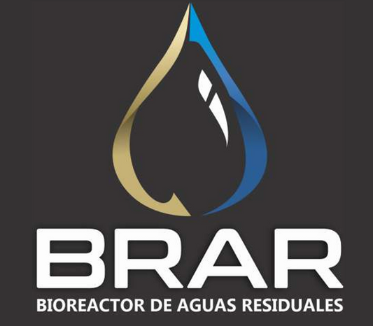 BRAR 1 MODULO