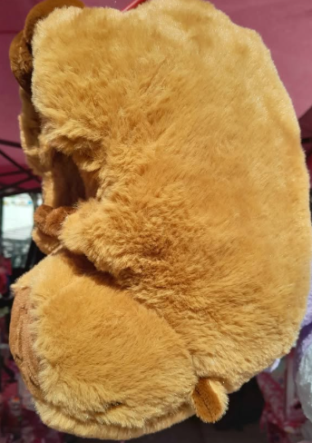 Pantuflas capybara